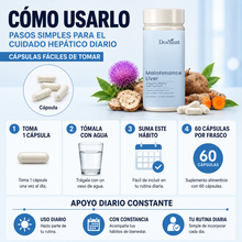 Docteat Liver™ Apoyo y recuperación del hígado